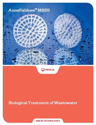 MBBR Veolia Korea Wastewater Solution